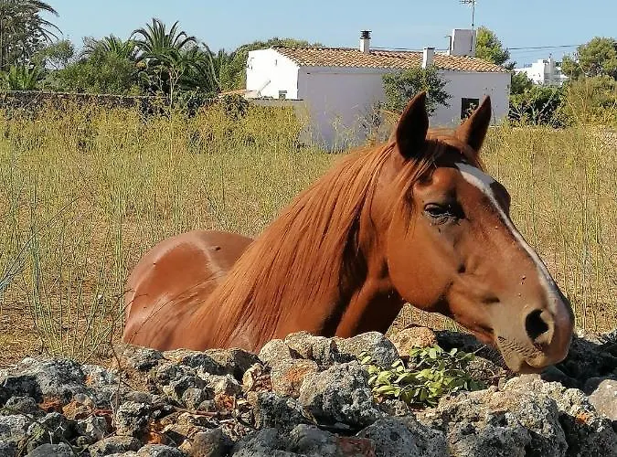 Aigua Dolca Santandria 公寓