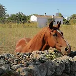 Aigua Dolca Santandria Appartamento